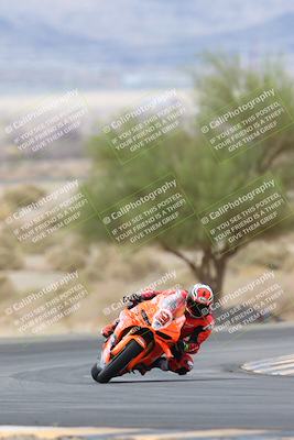 media/May-05-2025-Moto Forza (Mon) [[3c1838c5e5]]/1-A Group/Session 3 (Turn 5 Tree of Life)/